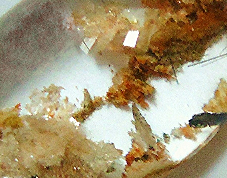 黃色錦鯉膠花
